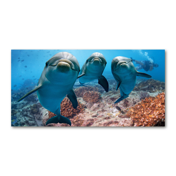 Foto en cristal de alta calidad con impresión uv horizontal Delfines