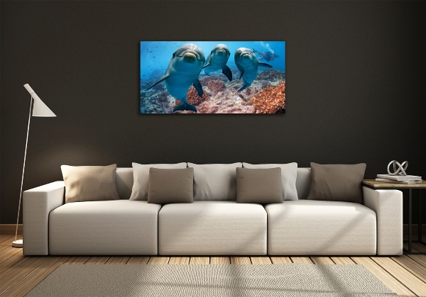 Foto en cristal de alta calidad con impresión uv horizontal Delfines