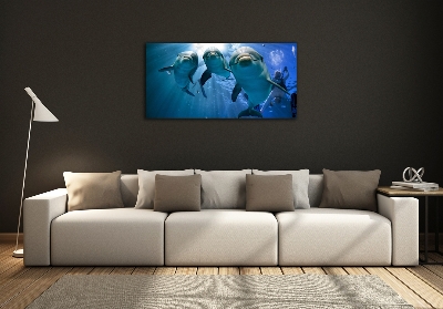 Cuadro de cristal templado moderno horizontal Tres delfines