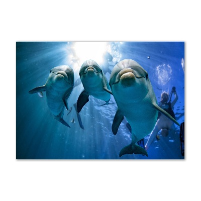 Cuadro de cristal templado moderno horizontal Tres delfines