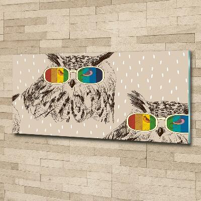 Foto en cristal de alta calidad con impresión uv horizontal Búhos con gafas