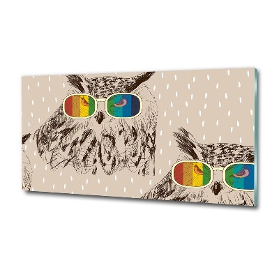 Foto en cristal de alta calidad con impresión uv horizontal Búhos con gafas