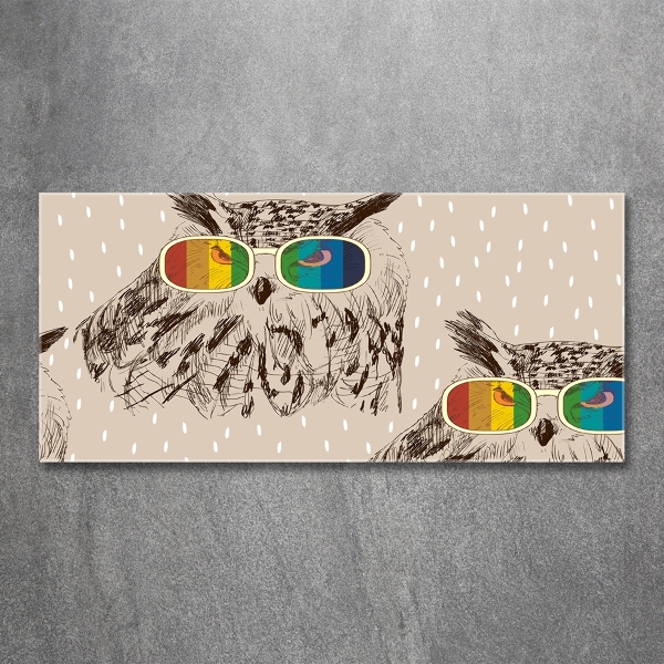 Foto en cristal de alta calidad con impresión uv horizontal Búhos con gafas