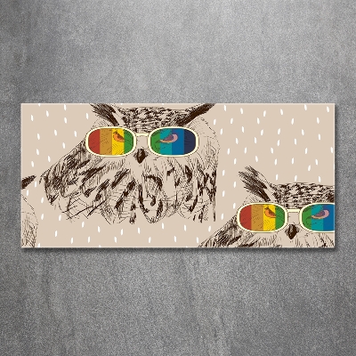 Foto en cristal de alta calidad con impresión uv horizontal Búhos con gafas