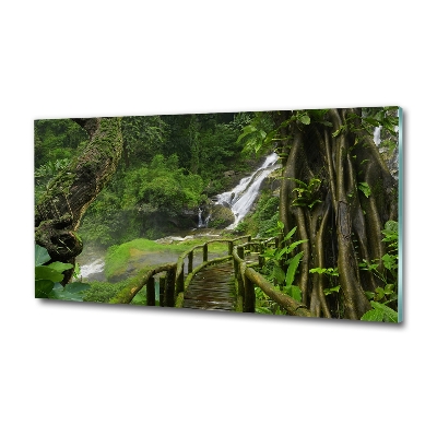 Cuadro decorativo de vidrio para salón horizontal Cascada en la selva