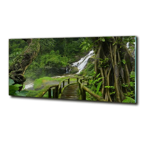 Cuadro decorativo de vidrio para salón horizontal Cascada en la selva