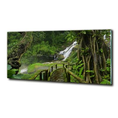 Cuadro decorativo de vidrio para salón horizontal Cascada en la selva