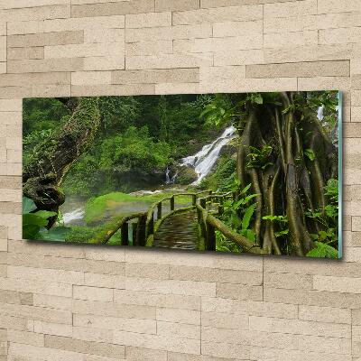 Cuadro decorativo de vidrio para salón horizontal Cascada en la selva