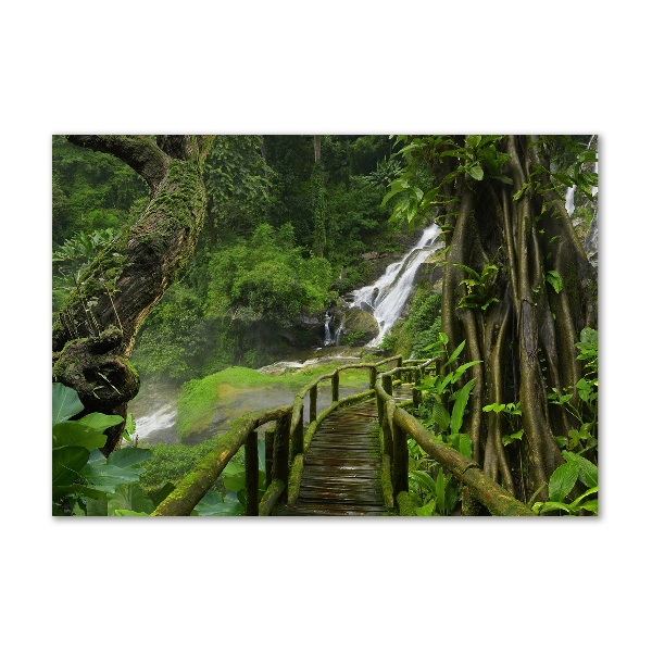 Cuadro decorativo de vidrio para salón horizontal Cascada en la selva
