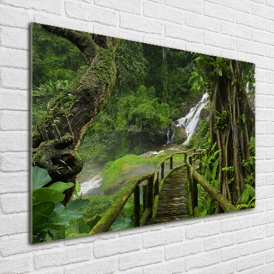 Cuadro decorativo de vidrio para salón horizontal Cascada en la selva