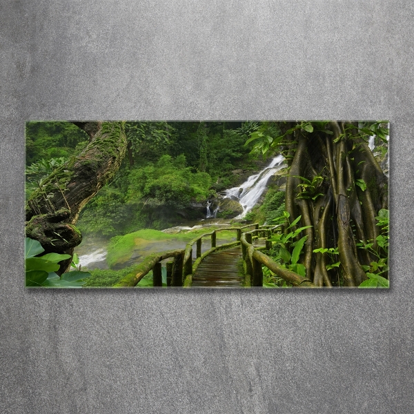 Cuadro decorativo de vidrio para salón horizontal Cascada en la selva