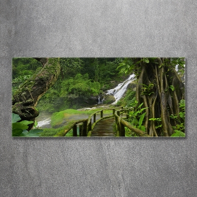 Cuadro decorativo de vidrio para salón horizontal Cascada en la selva