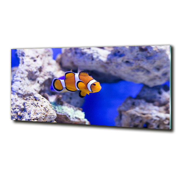 Foto en cristal de alta calidad con impresión uv horizontal pez payaso de arrecife de coral