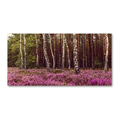 Foto en cristal de alta calidad con impresión uv horizontal Páramo