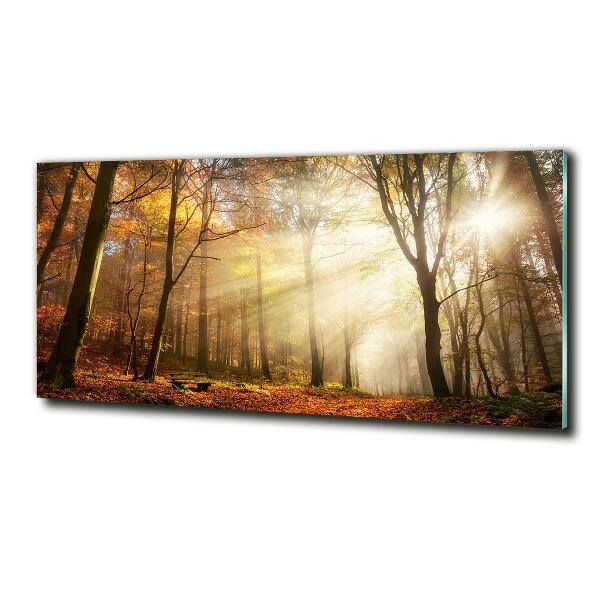 Cuadro de cristal templado moderno horizontal Niebla en el bosque