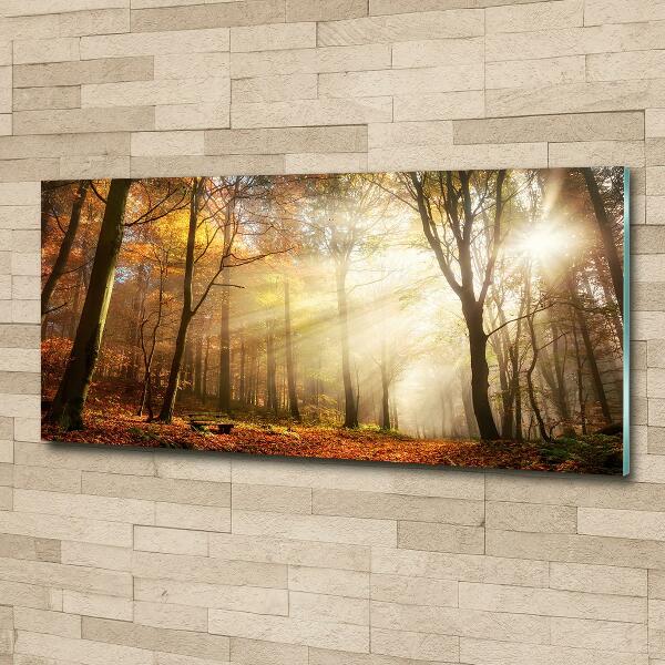 Cuadro de cristal templado moderno horizontal Niebla en el bosque