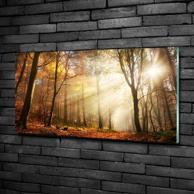 Cuadro de cristal templado moderno horizontal Niebla en el bosque