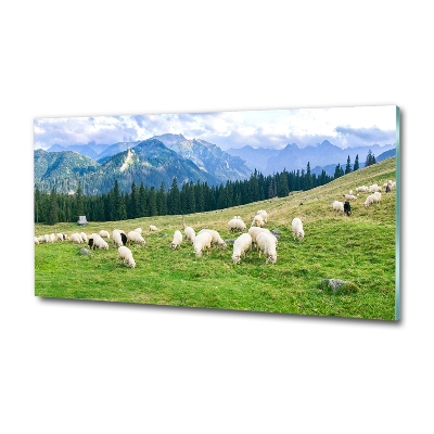 Cuadro decorativo de vidrio para salón horizontal Ovejas en los montes Tatra