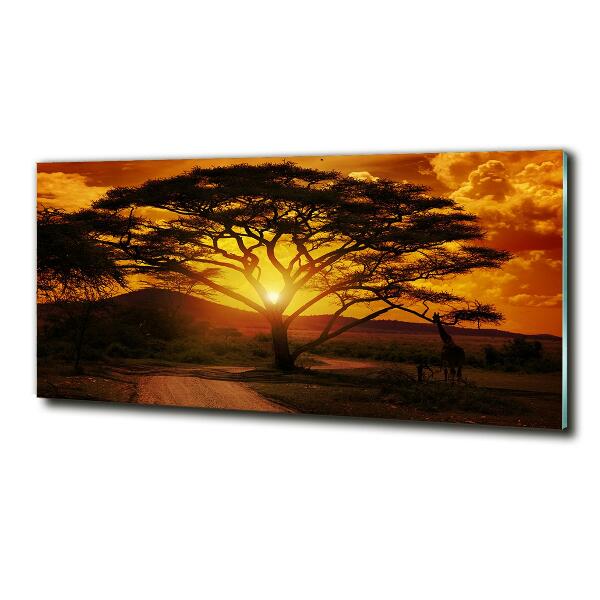 Impresión en cristal con acabado brillante horizontal África Occidental