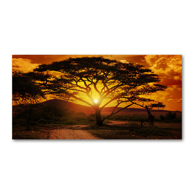 Impresión en cristal con acabado brillante horizontal África Occidental