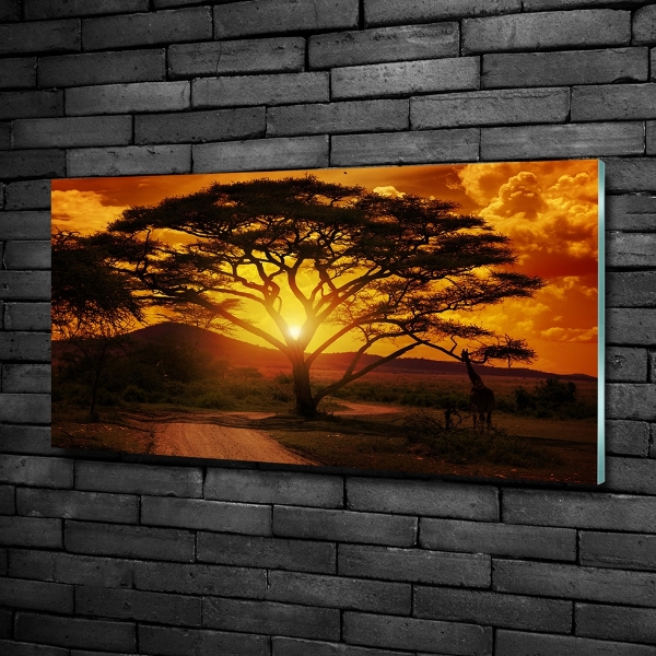 Impresión en cristal con acabado brillante horizontal África Occidental