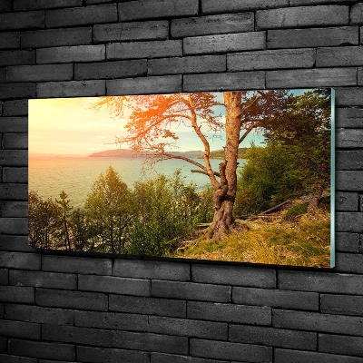 Cuadro decorativo de vidrio para salón horizontal Lago escandinavo