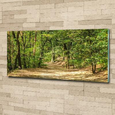 Cuadro de cristal templado moderno horizontal Camino forestal