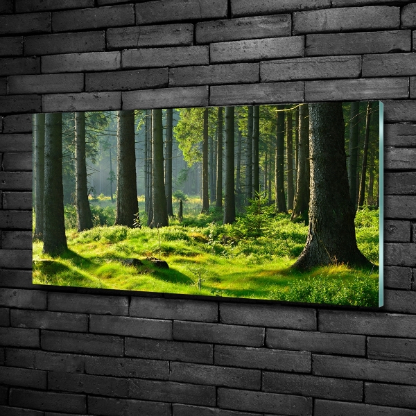 Foto en cristal de alta calidad con impresión uv horizontal Bosque de abetos