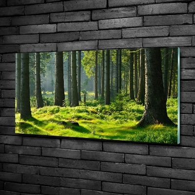 Foto en cristal de alta calidad con impresión uv horizontal Bosque de abetos