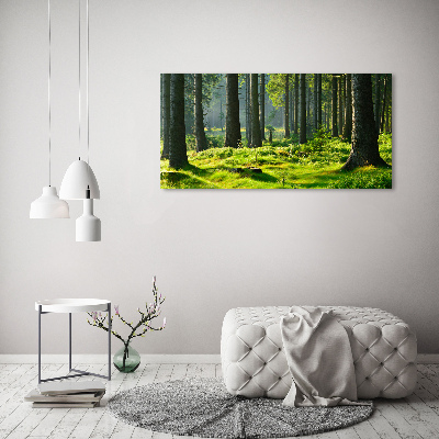 Foto en cristal de alta calidad con impresión uv horizontal Bosque de abetos