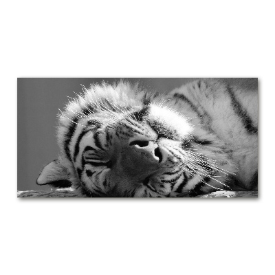 Impresión en cristal con acabado brillante horizontal Tigre dormido