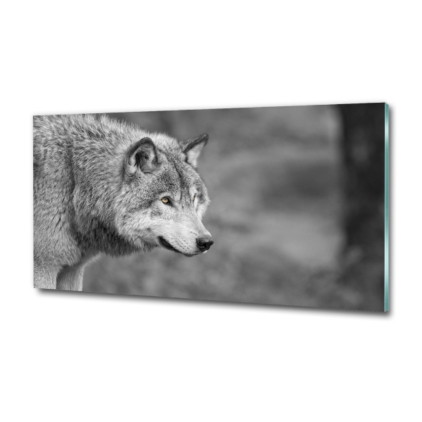 Foto en cristal de alta calidad con impresión uv horizontal Lobo gris