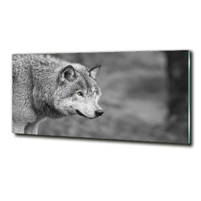 Foto en cristal de alta calidad con impresión uv horizontal Lobo gris