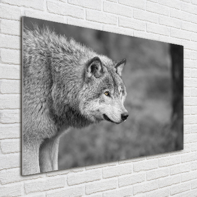 Foto en cristal de alta calidad con impresión uv horizontal Lobo gris