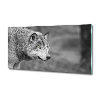 Foto en cristal de alta calidad con impresión uv horizontal Lobo gris