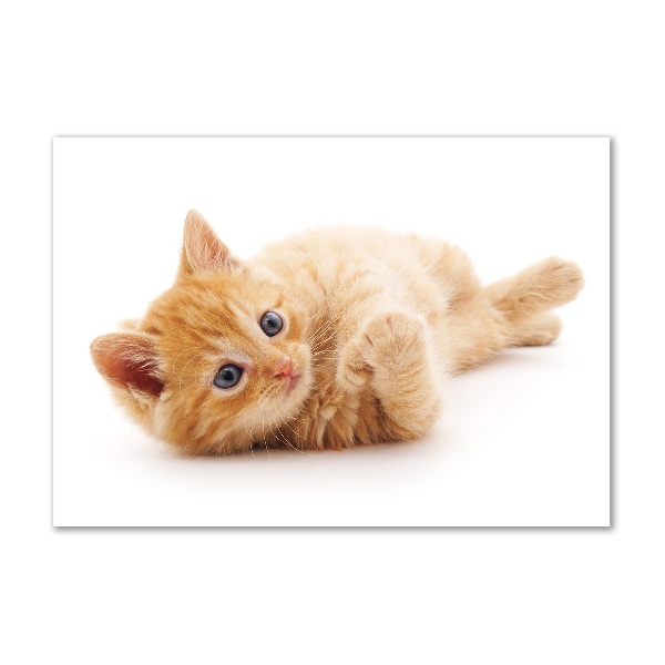 Cuadro de cristal templado moderno horizontal Gato pelirrojo