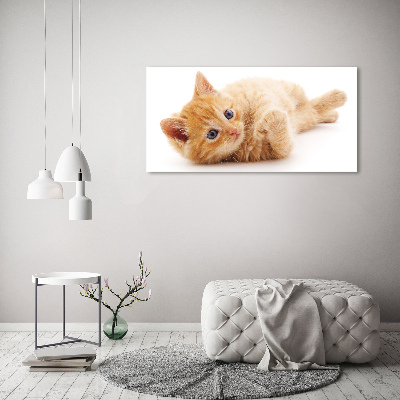 Cuadro de cristal templado moderno horizontal Gato pelirrojo