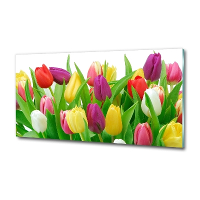 Cuadro decorativo de vidrio para salón horizontal tulipanes coloridos