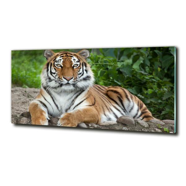 Cuadro decorativo de vidrio para salón horizontal tigre siberiano