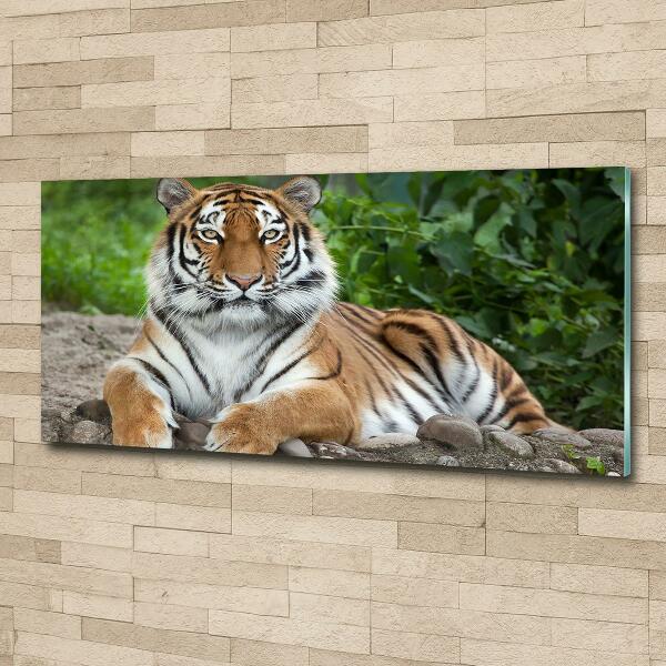 Cuadro decorativo de vidrio para salón horizontal tigre siberiano