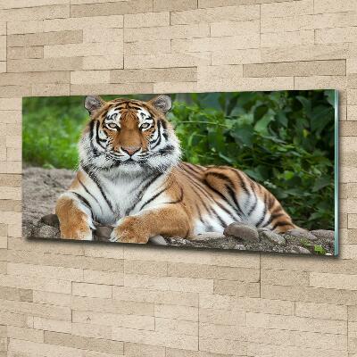 Cuadro decorativo de vidrio para salón horizontal tigre siberiano