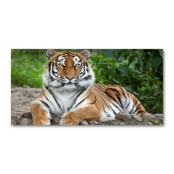 Cuadro decorativo de vidrio para salón horizontal tigre siberiano