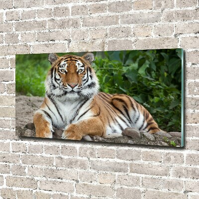 Cuadro decorativo de vidrio para salón horizontal tigre siberiano
