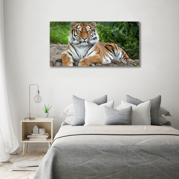Cuadro decorativo de vidrio para salón horizontal tigre siberiano