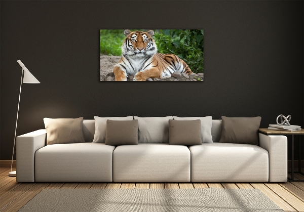 Cuadro decorativo de vidrio para salón horizontal tigre siberiano