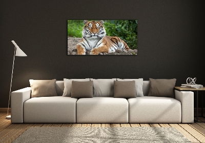 Cuadro decorativo de vidrio para salón horizontal tigre siberiano