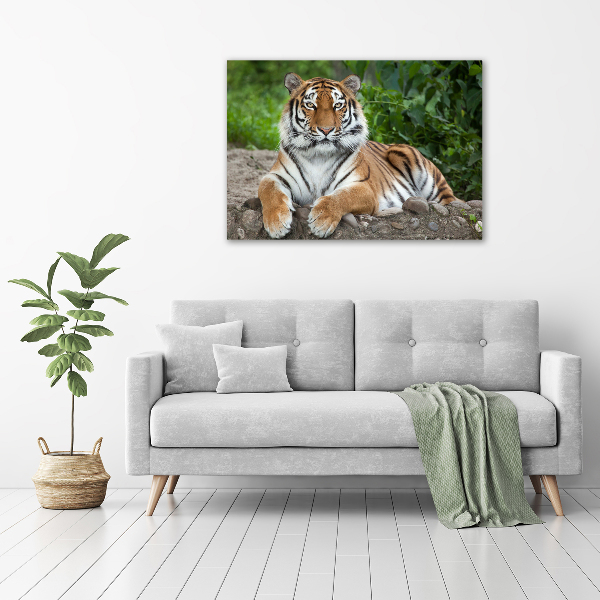 Cuadro decorativo de vidrio para salón horizontal tigre siberiano