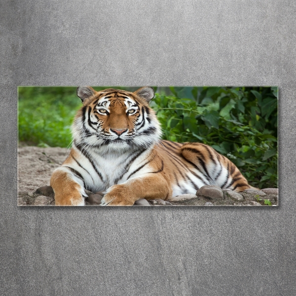 Cuadro decorativo de vidrio para salón horizontal tigre siberiano