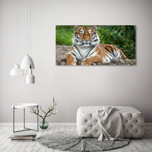 Cuadro decorativo de vidrio para salón horizontal tigre siberiano
