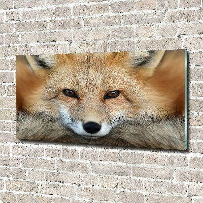 Foto en cristal de alta calidad con impresión uv horizontal Zorro